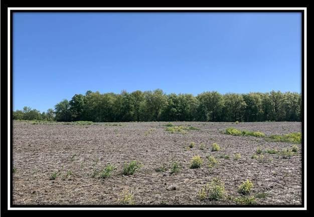 12114 St Rt 736 Road Marysville, OH 43040 - Photo 2 of 22
