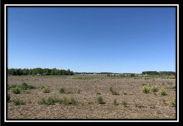 12114 St Rt 736 Road Marysville, OH 43040 - Photo 9 of 22