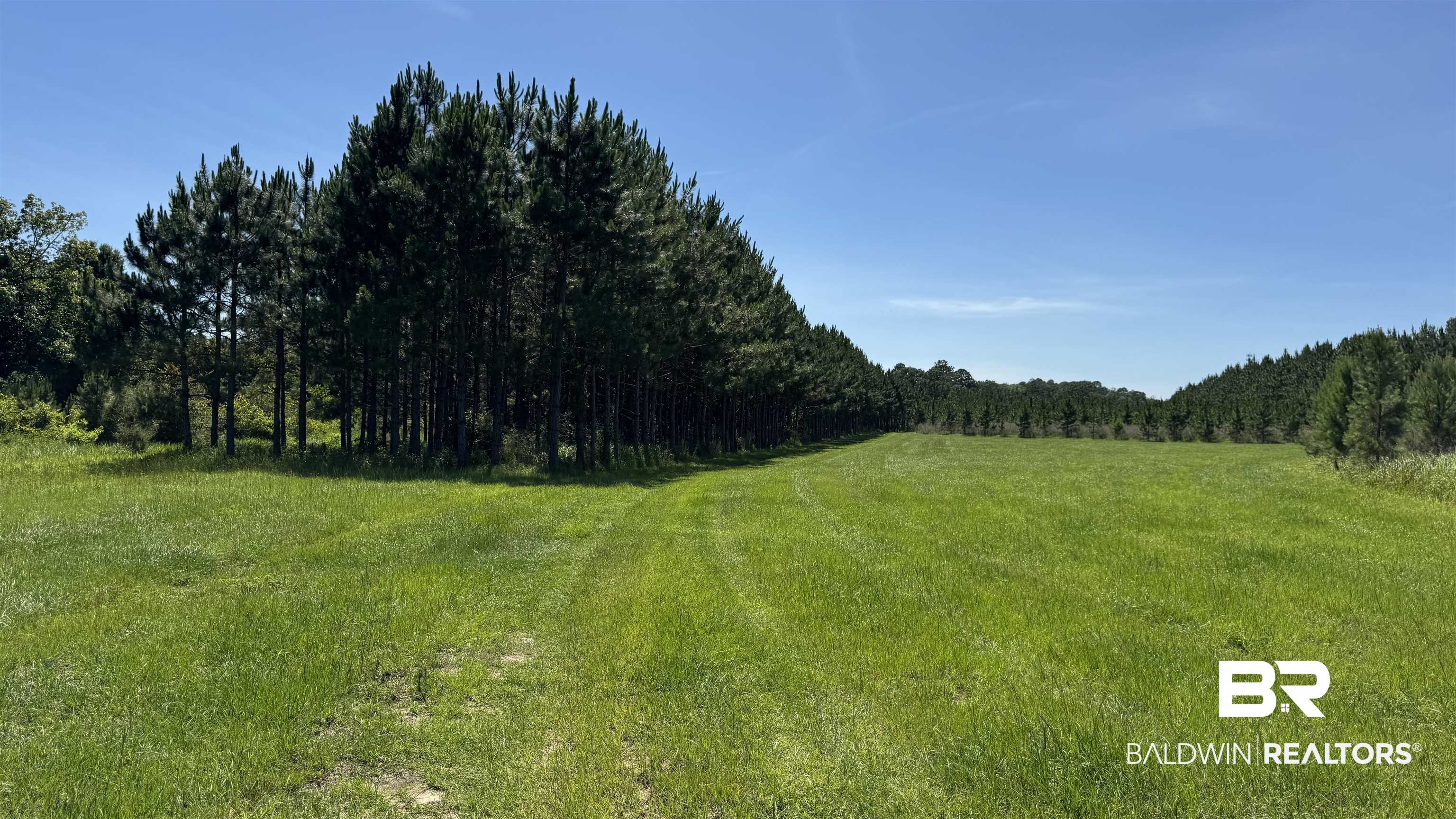 0 County Road 87 Elberta, AL 36530 - Photo 36 of 46