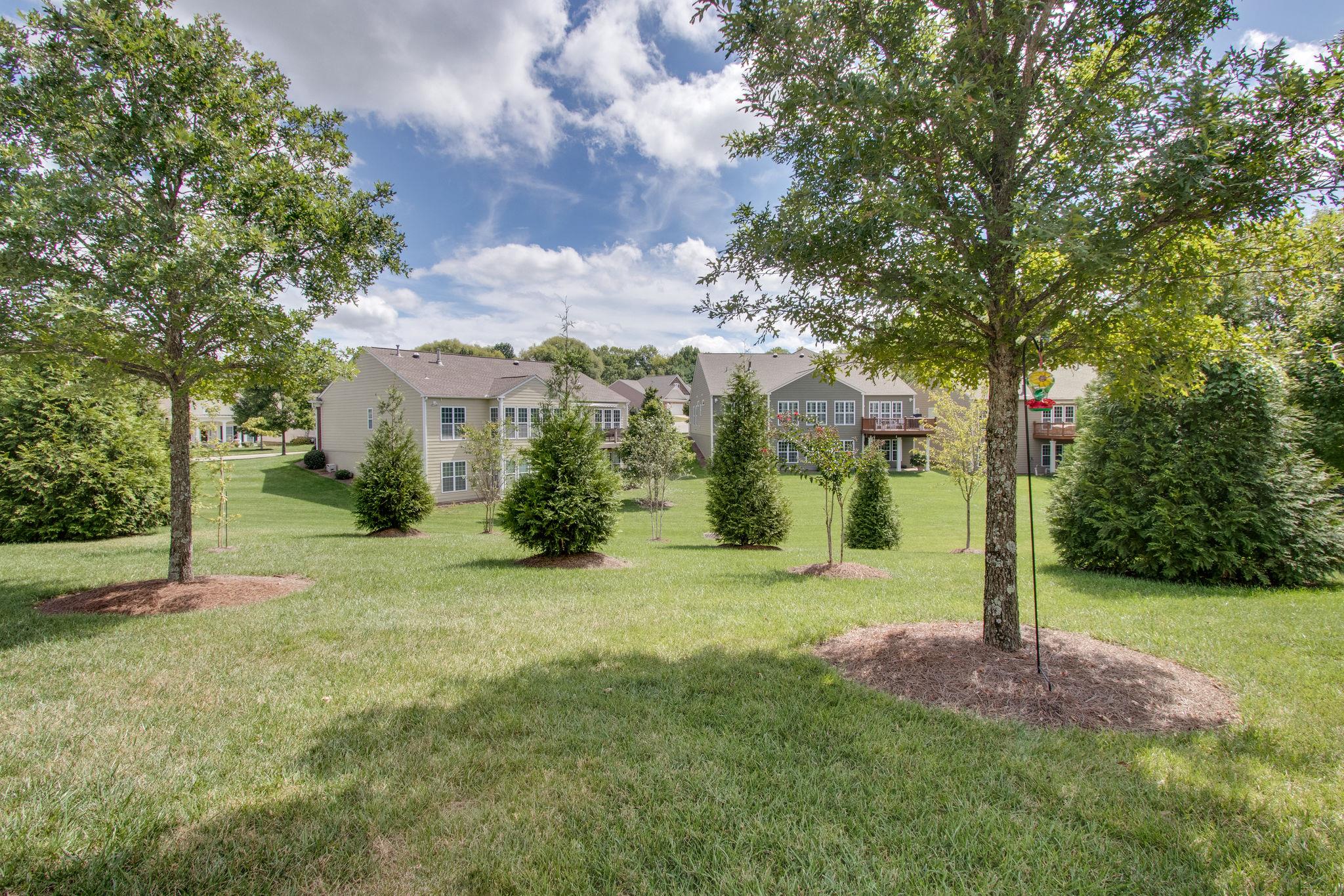 520 Bugler Road Mount Juliet, TN 37122 - Photo 28 of 30 a view of a big yard with plants and large trees