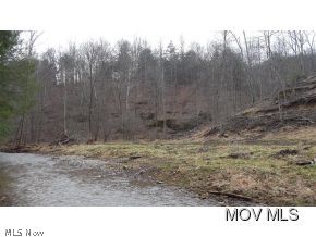 0 C Road Harrisville, WV 26362 - Photo 8 of 10
