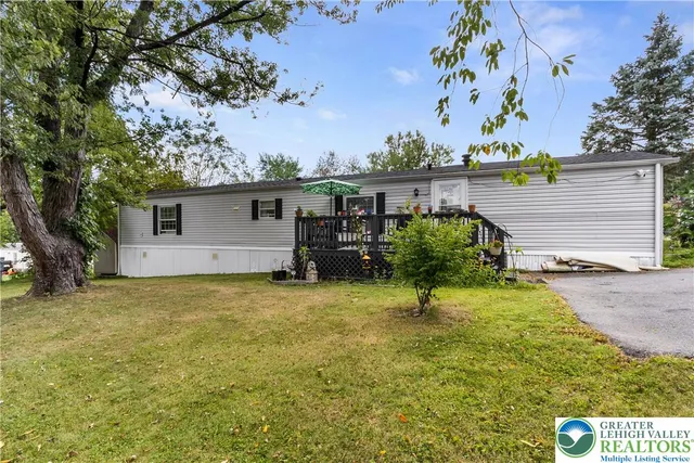 a small garden covered with tall trees