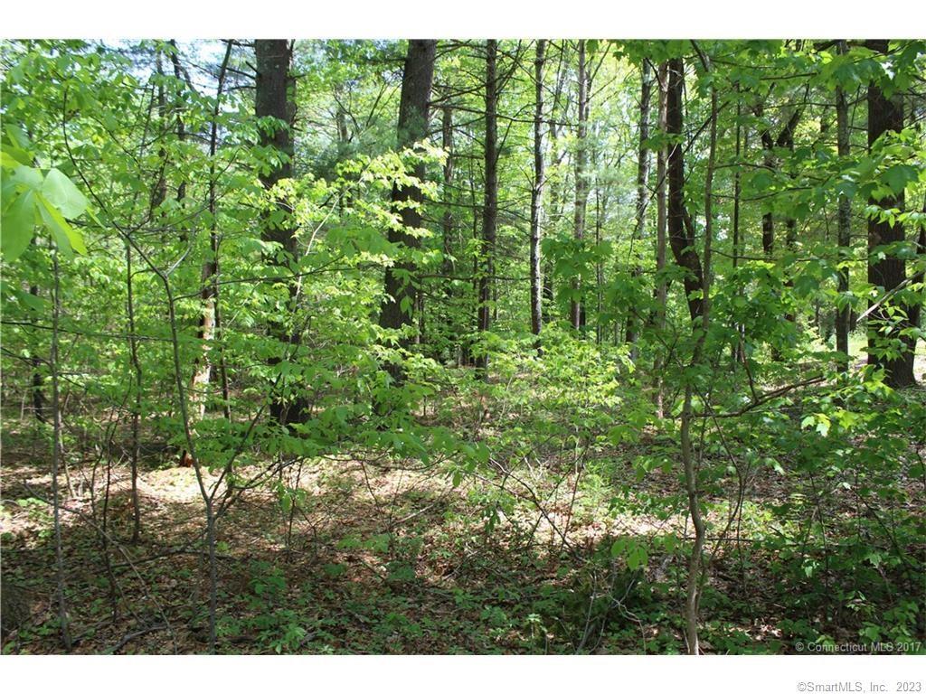 Lot 2 South Brook Road Hampton, CT 06247 - Photo 1 of 1