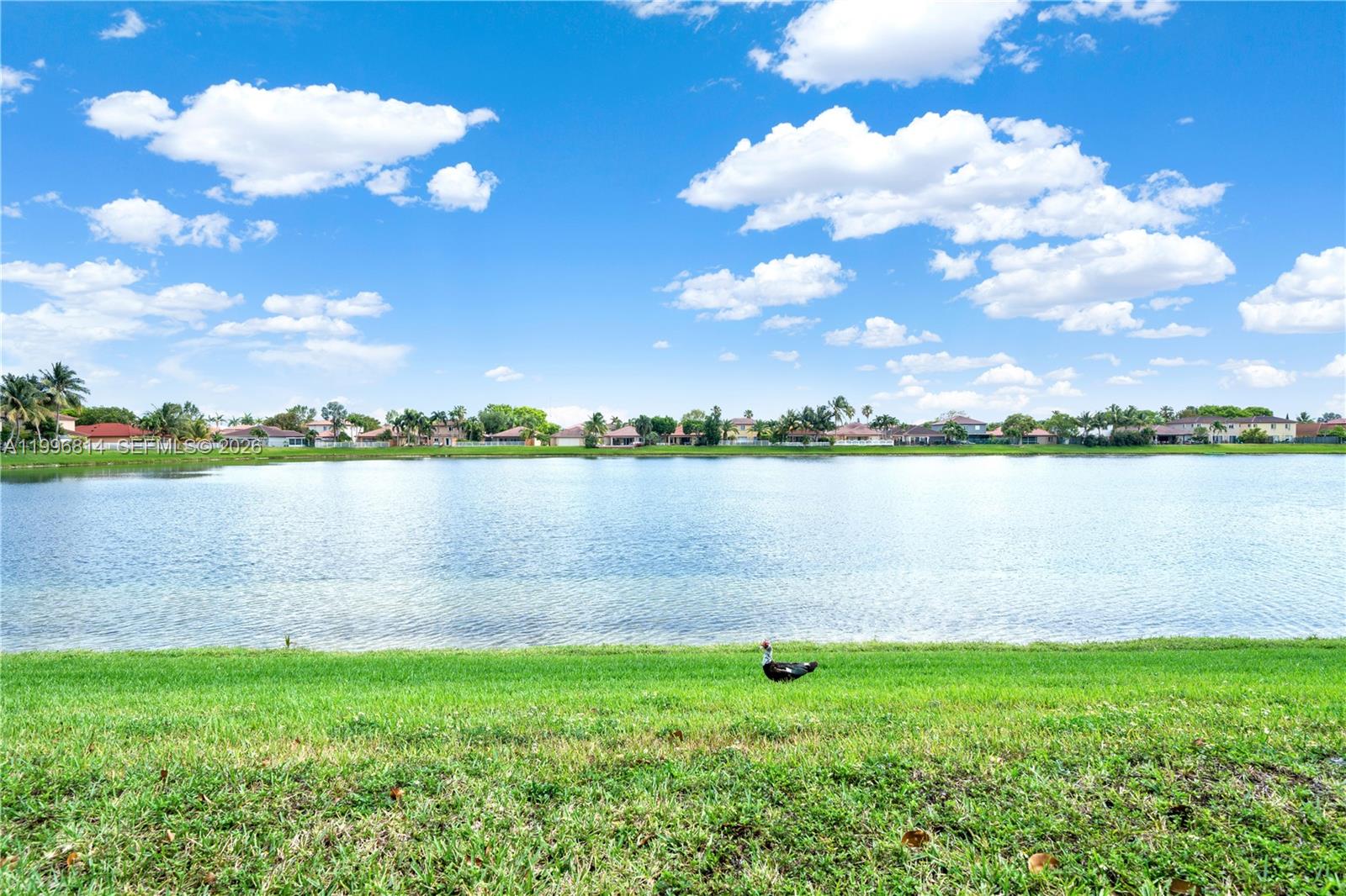 12046 Southwest 133rd Terrace Miami, FL 33186 - Photo 6 of 27 a view of a lake