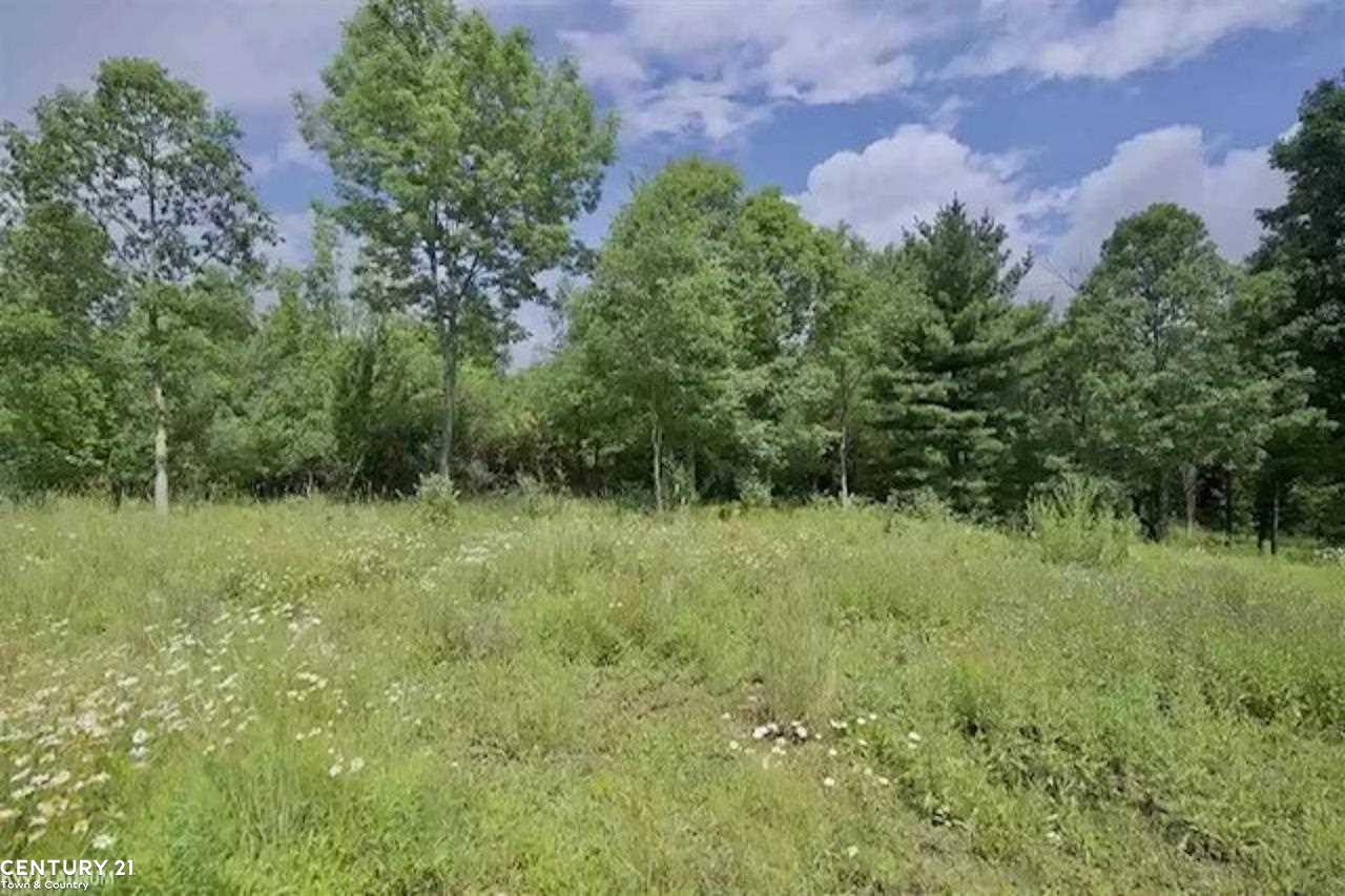 0 Meskill Road Richmond, MI 48062 - Photo 11 of 14