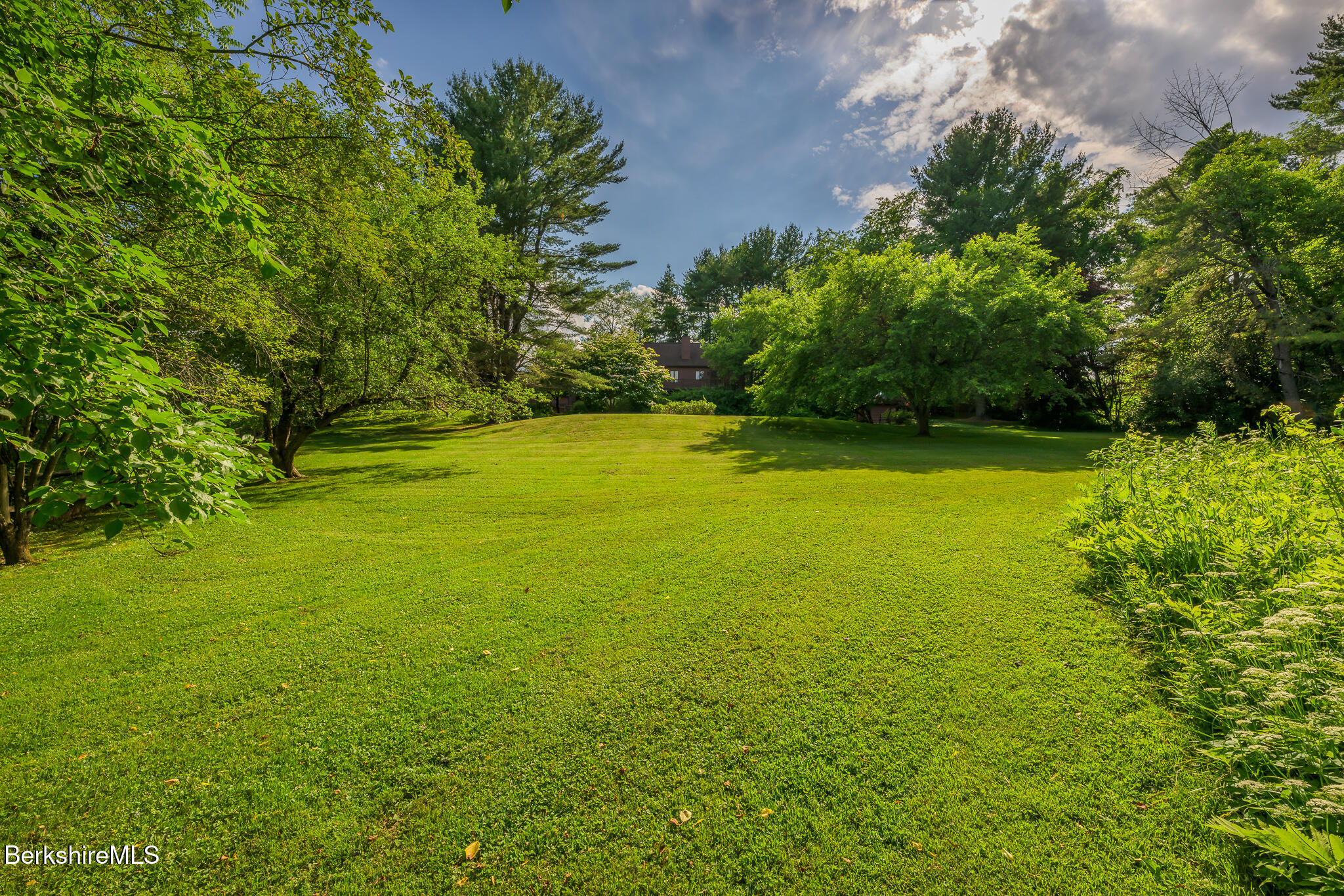 6 Manitauk Heights Stockbridge, MA 01262 - Photo 48 of 49 Back yard 3