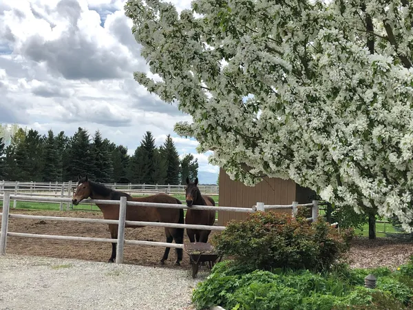 $1,899,000 | 113 Equus Loop, Blaine County, ID 83313