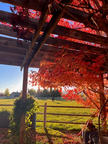 $1,950,000 | 113 Equus Loop, Blaine County, ID 83313