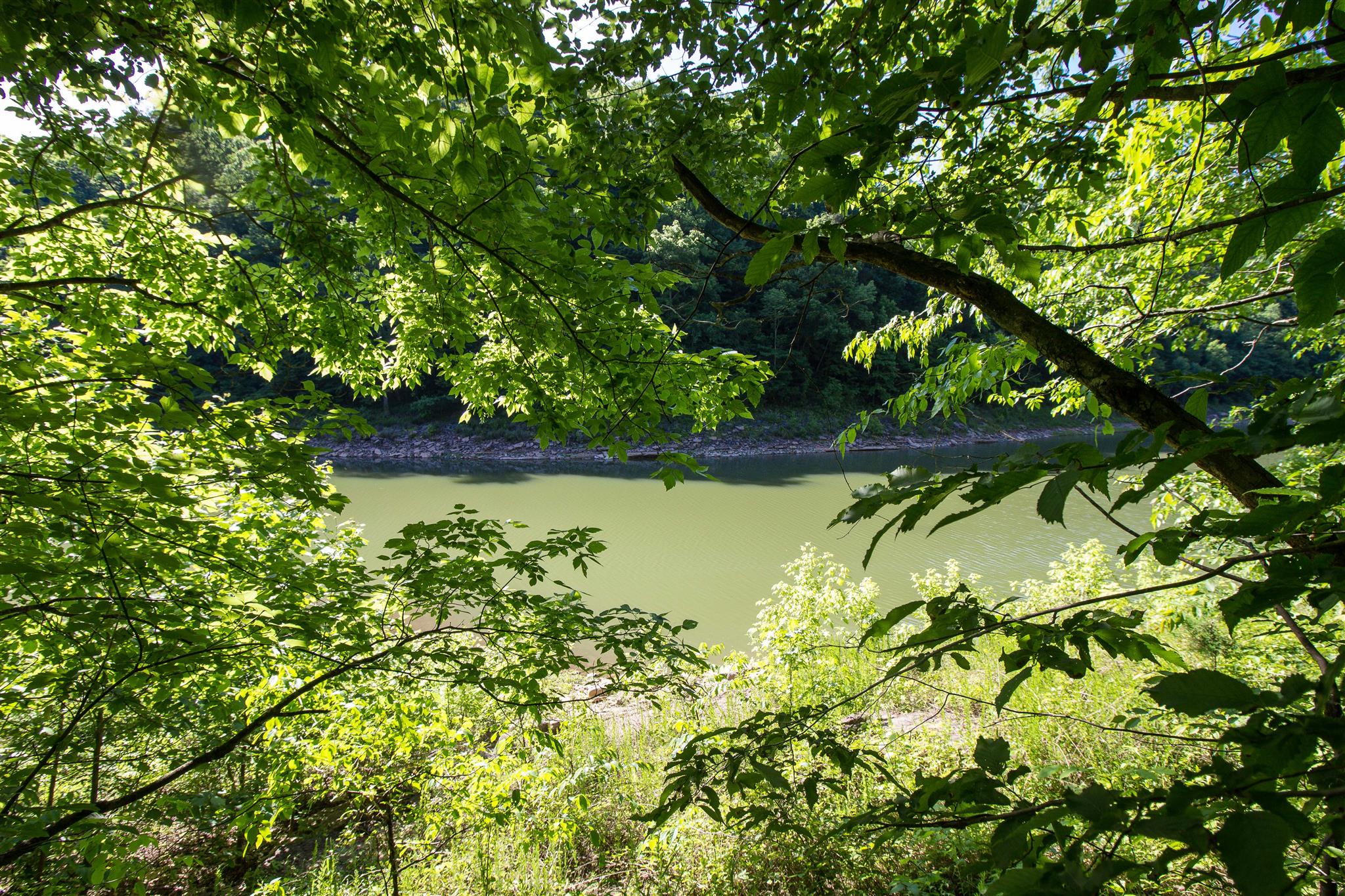 19 Rolling Acres Road Smithville, TN 37166 - Photo 6 of 17 Gallery Image 6