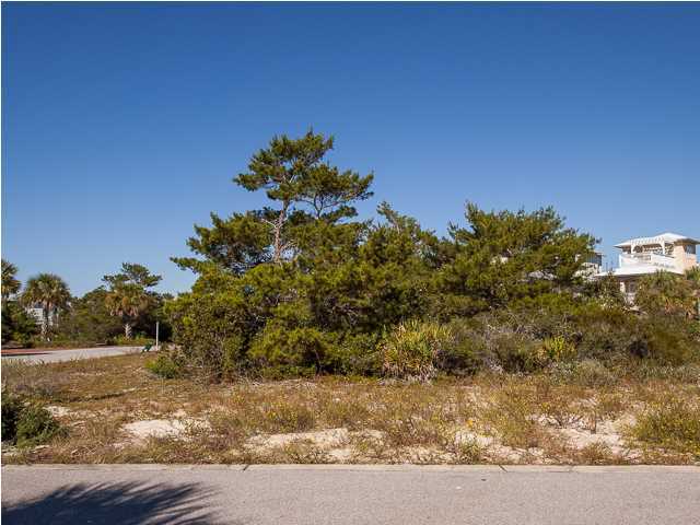 4 Blue Dolphin Loop Seacrest, FL 32461 - Photo 6 of 10 Gallery Image 6