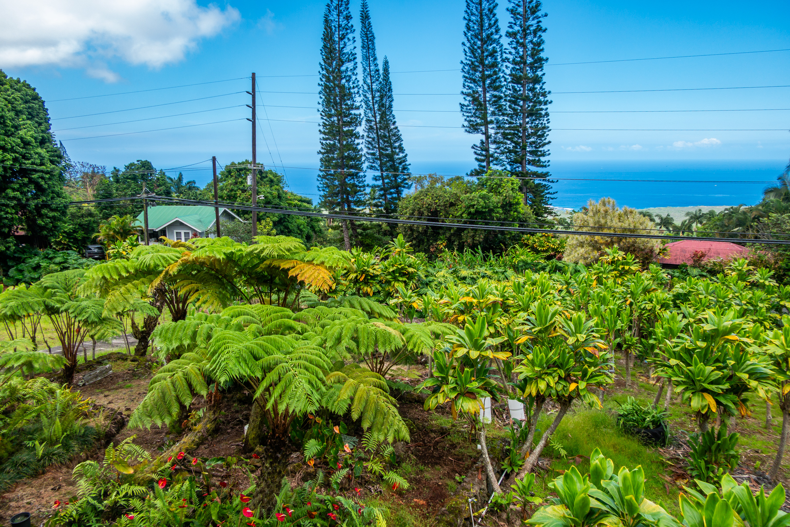 84-5084 Hawaiʻi Belt Road Captain Cook, HI 96704 - Photo 21 of 29