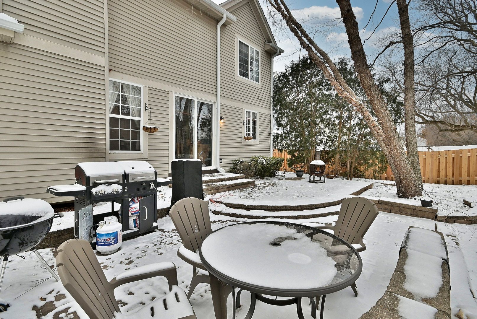 377 Geneva Lane Cary, IL 60013 - Photo 48 of 51