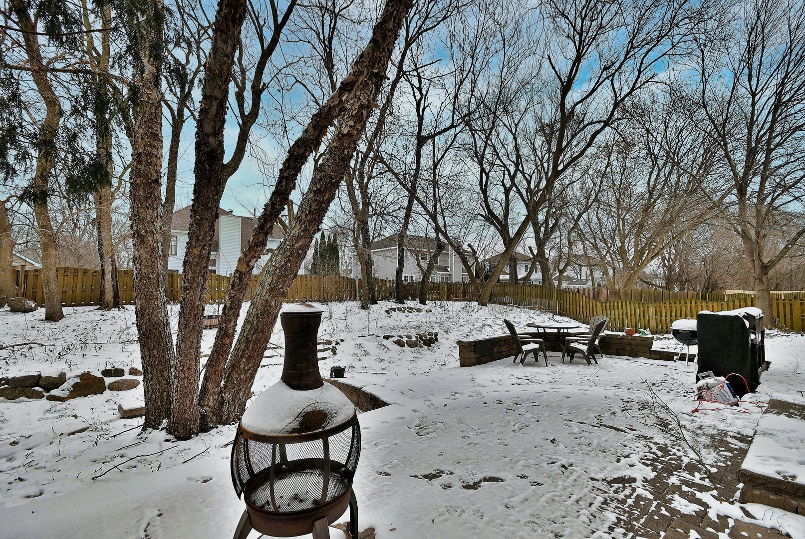 377 Geneva Lane Cary, IL 60013 - Photo 50 of 51