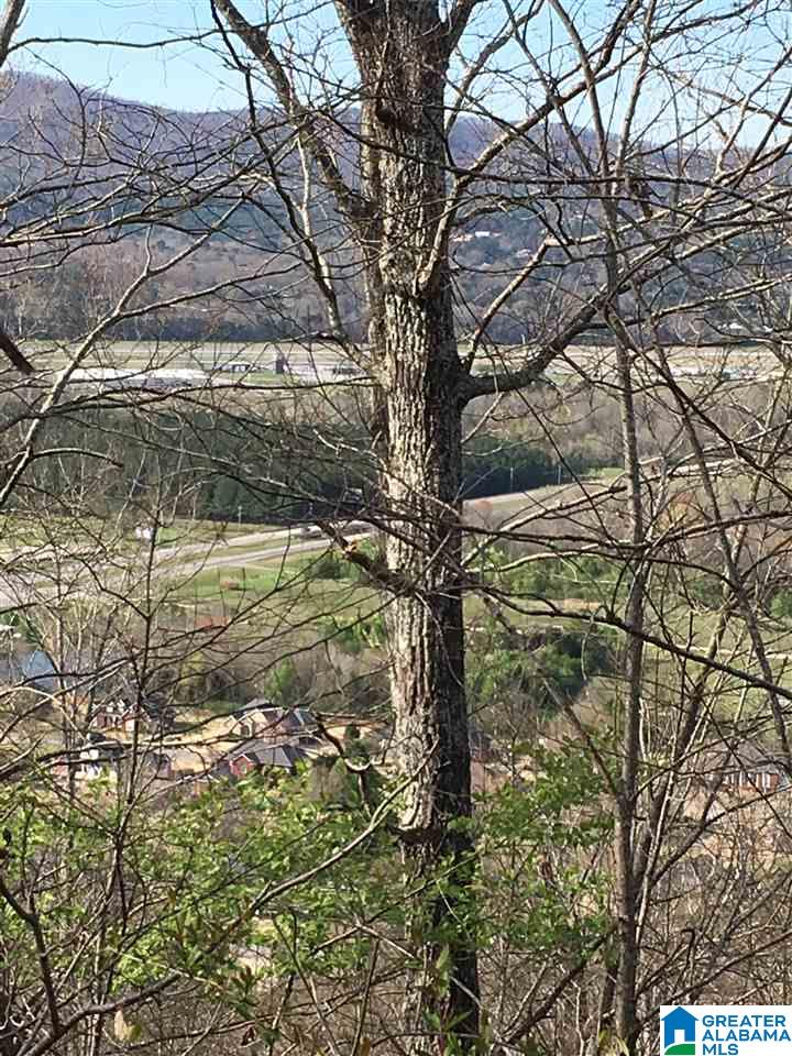 230 County Line Road Oxford, AL 36203 - Photo 40 of 50
