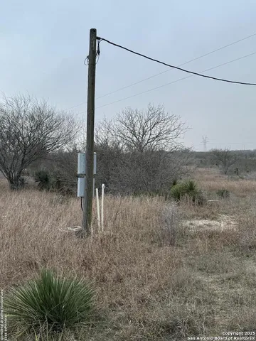 a view of a dry yard with trees