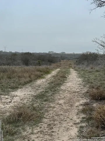a view of dirt field with trees around