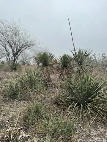 a fire hydrant in the middle of a field