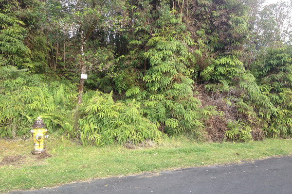 286 Kaniela Road Mountain View, HI 96771 - Photo 6 of 6 a backyard of a house with a lots of plants and trees