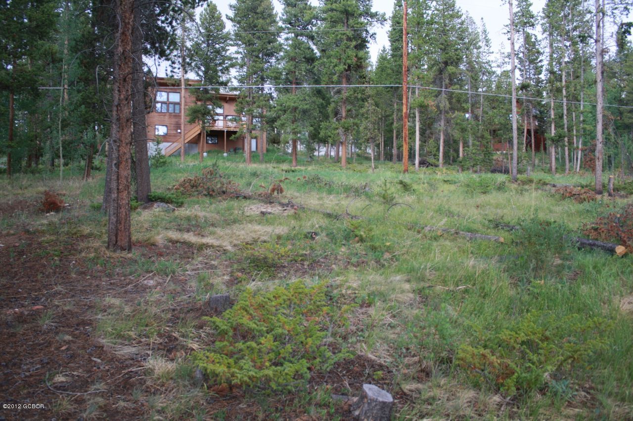 316 County Road Fraser, CO 80442 - Photo 16 of 16 yard