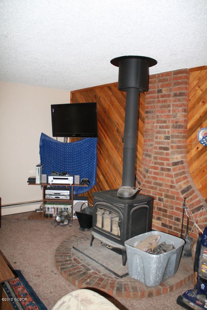 316 County Road Fraser, CO 80442 - Photo 6 of 16 Wood burning fireplace