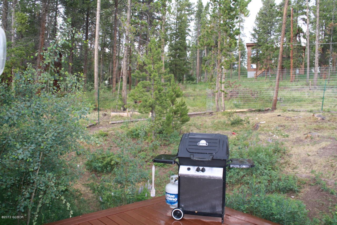 316 County Road Fraser, CO 80442 - Photo 7 of 16 back deck view