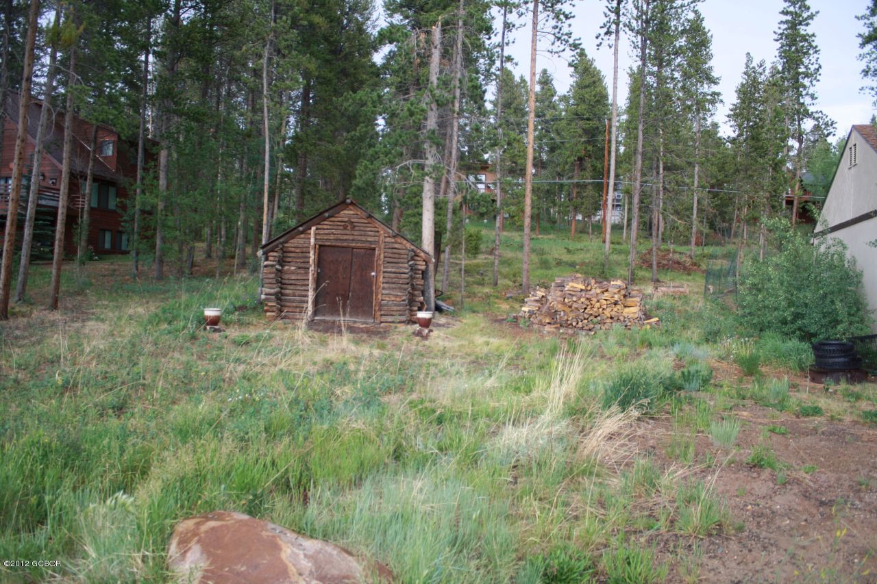 316 County Road Fraser, CO 80442 - Photo 9 of 16 storage shed