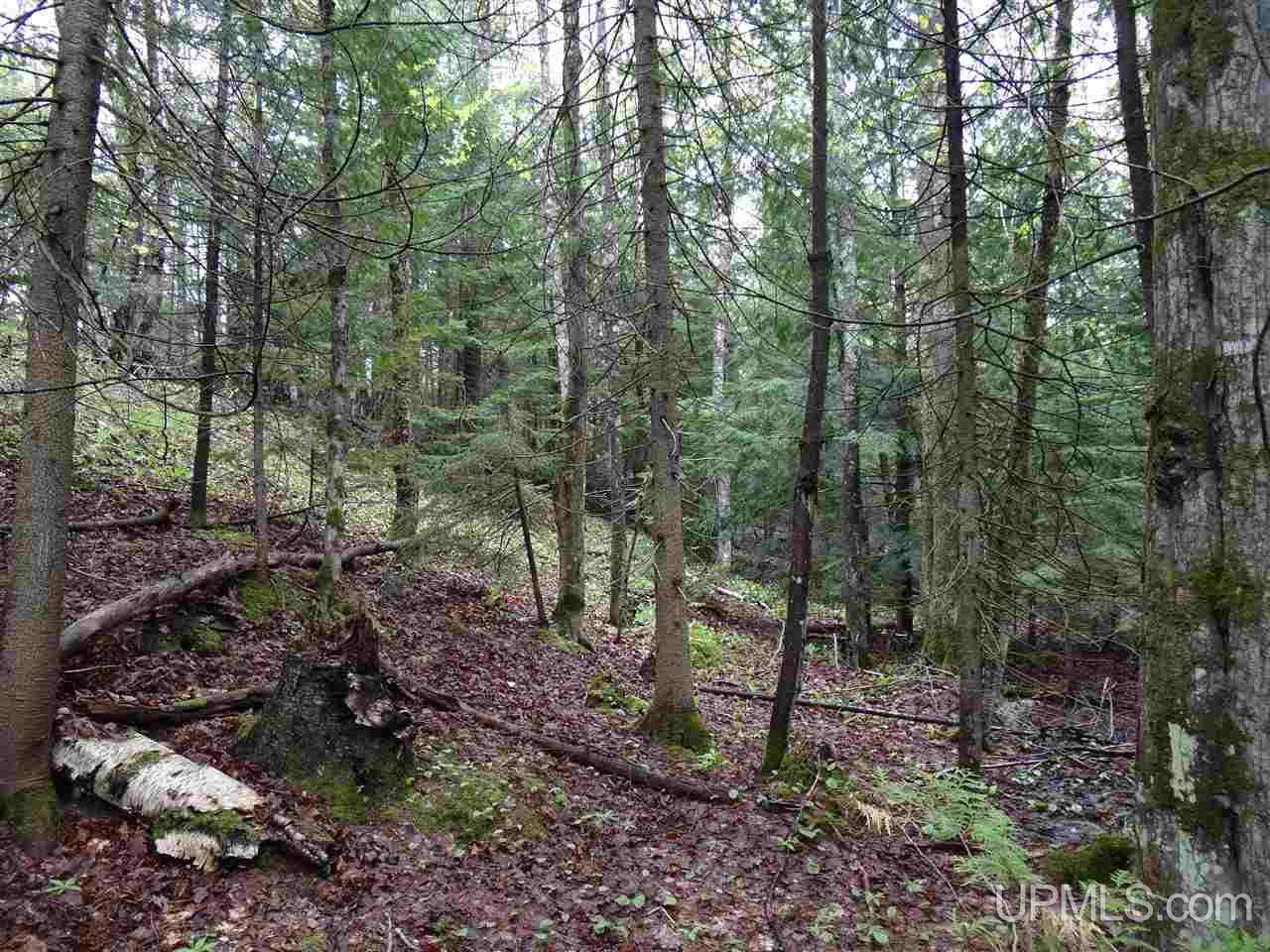 Tbd Freda Road Houghton, MI 49931 - Photo 7 of 15