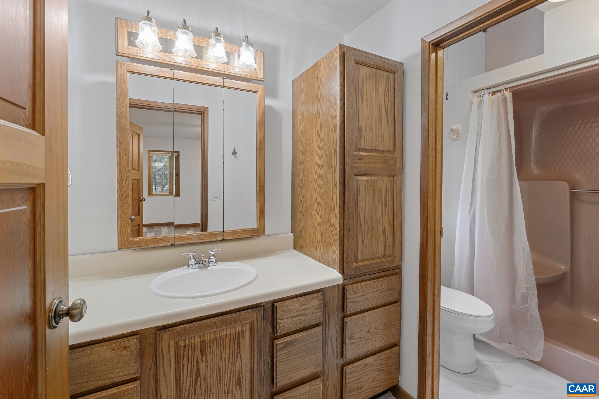 13 Axle Tree Road Palmyra, VA 22963 - Photo 46 of 71 a bathroom with a sink a toilet and shower a mirror