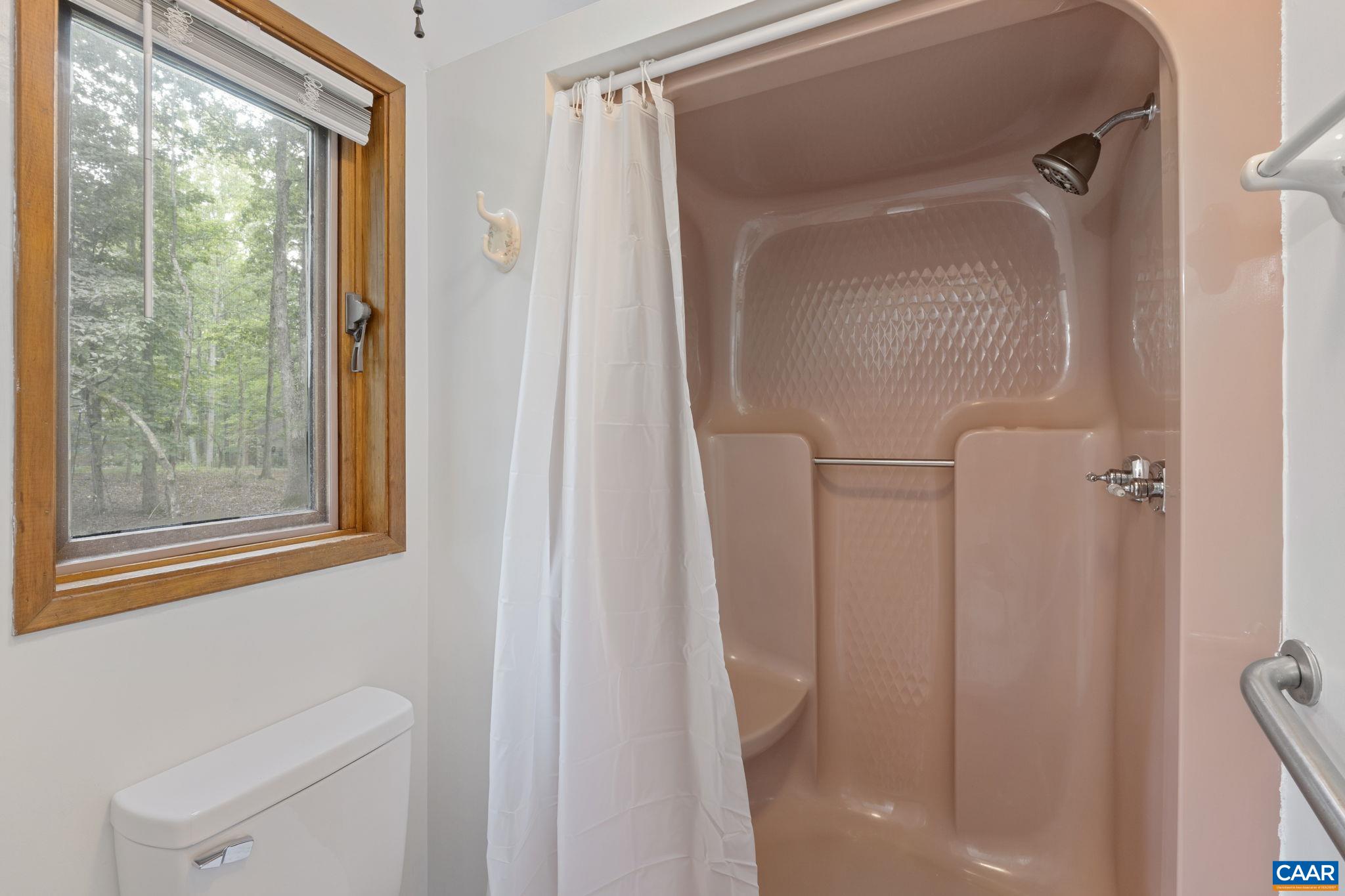 13 Axle Tree Road Palmyra, VA 22963 - Photo 49 of 71 a bathroom with a shower