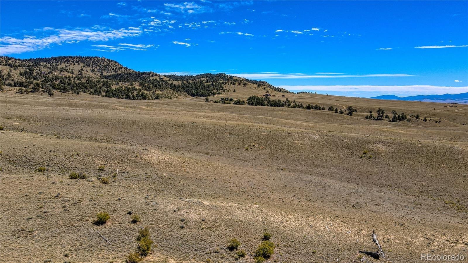 2163 Hardwood Loop Hartsel, CO 80449 - Photo 38 of 41