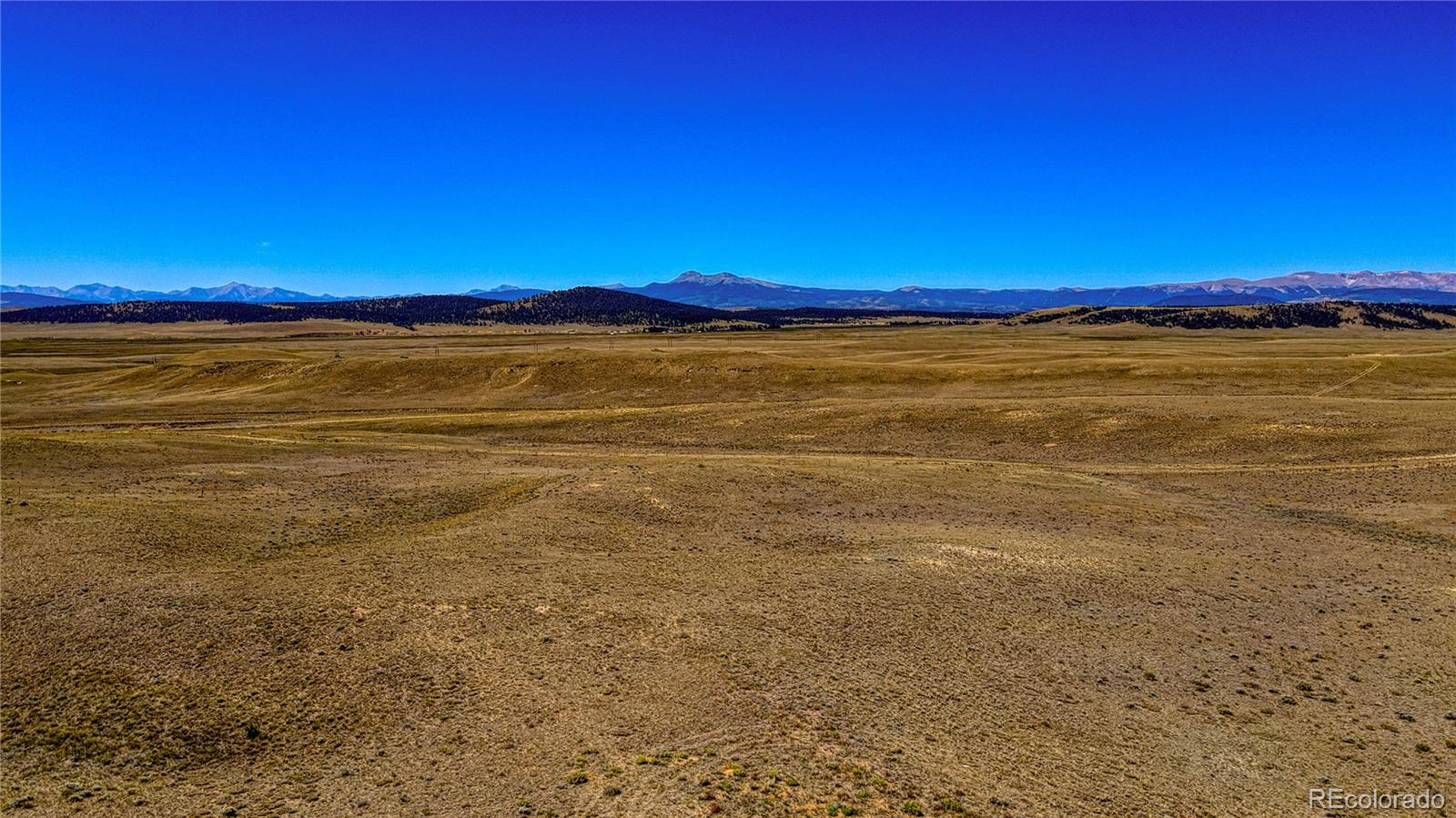 2163 Hardwood Loop Hartsel, CO 80449 - Photo 40 of 41