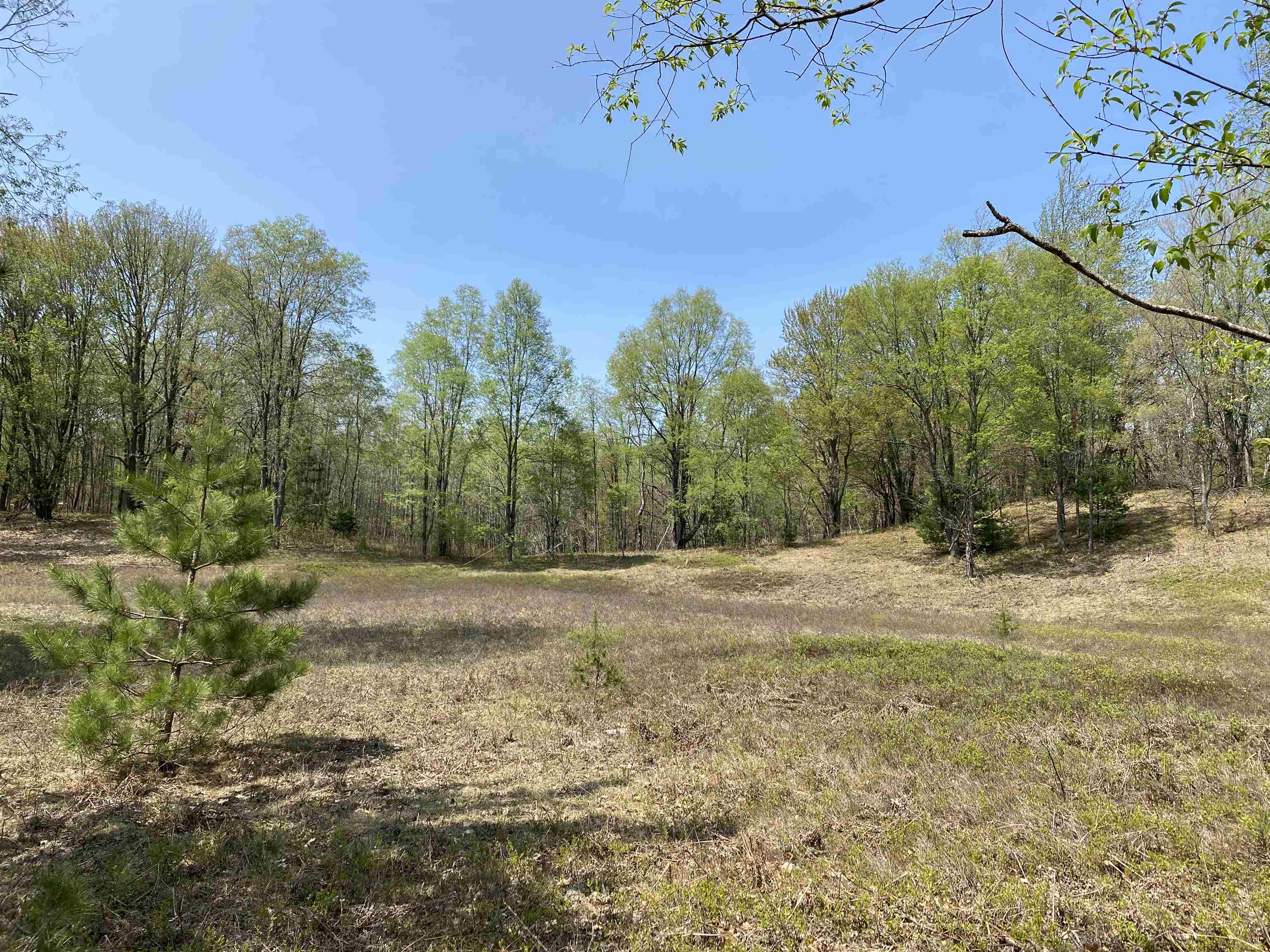 47 South 47 3/4 Road, Unit FOREST DRIVE LOT: 4 Cadillac, MI 49601 - Photo 2 of 14