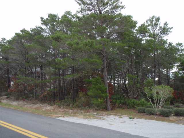 Lot 4 Maple Street Santa Rosa Beach, FL 32459 - Photo 2 of 15 a view of a yard with a tree