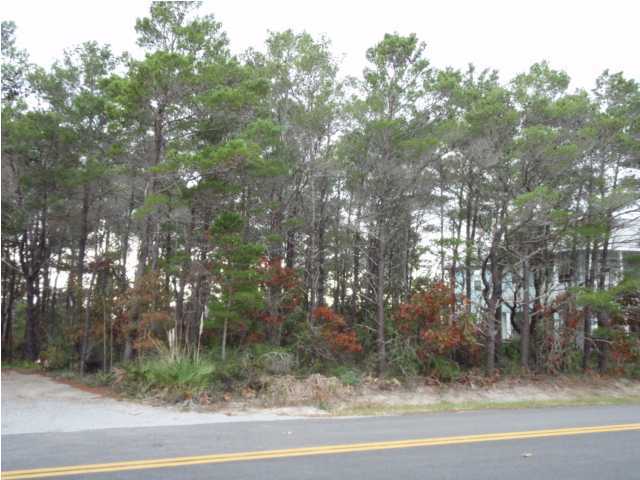 Lot 4 Maple Street Santa Rosa Beach, FL 32459 - Photo 3 of 15 a view of a tree in a yard