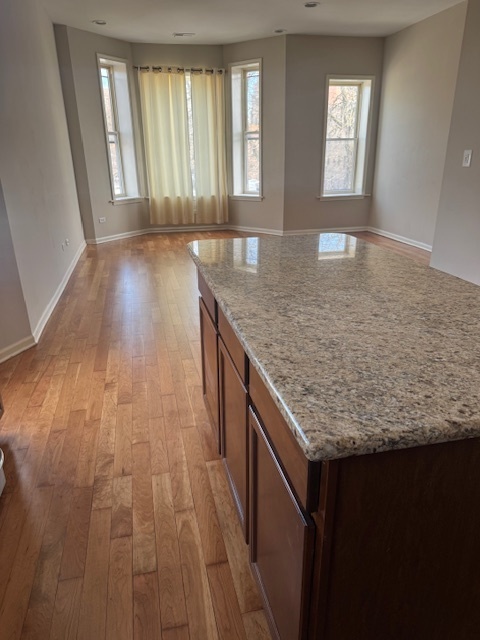 6418-20 South Stewart Avenue Chicago, IL 60621 - Photo 25 of 41 wooden floor with window