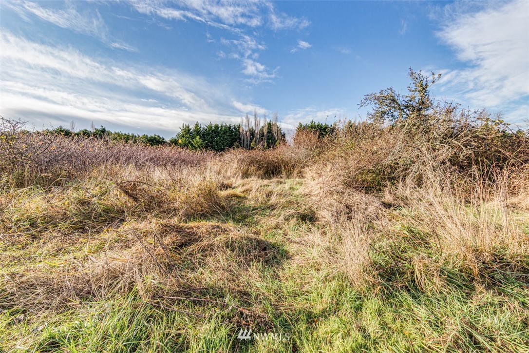 9999 Three Crabs Road Sequim, WA 98382 - Photo 11 of 40 Gallery Image 11