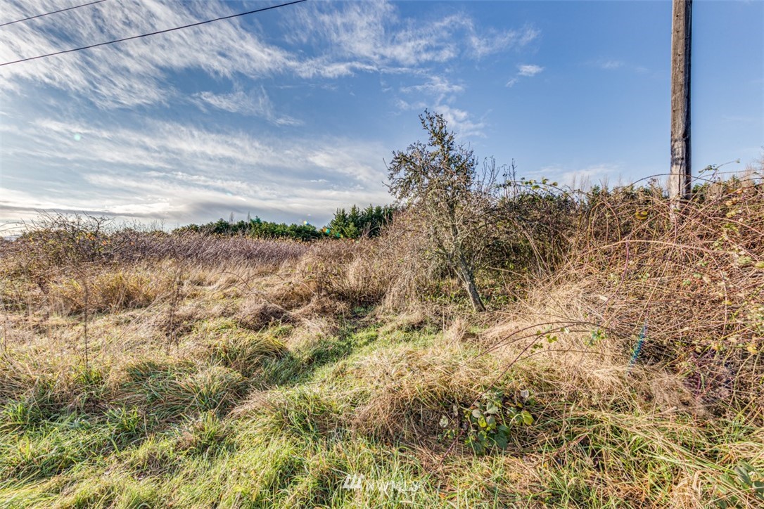 9999 Three Crabs Road Sequim, WA 98382 - Photo 12 of 40 Gallery Image 12