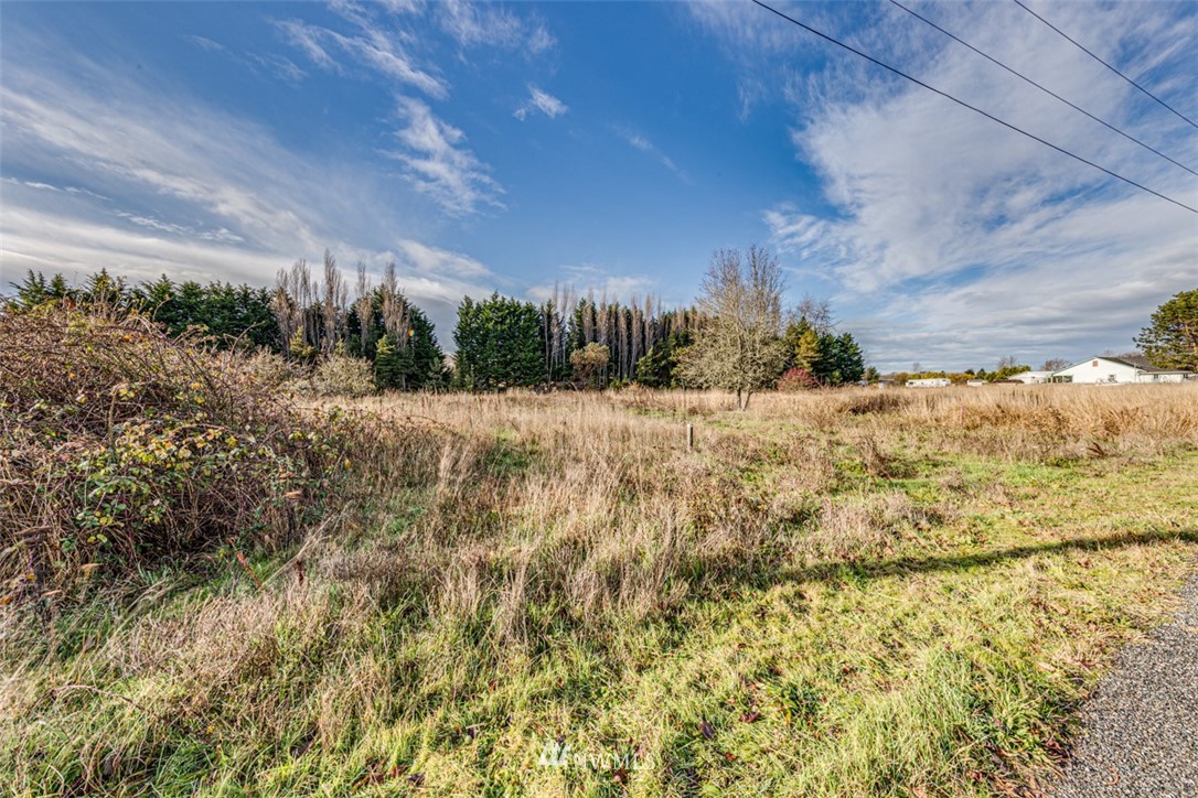 9999 Three Crabs Road Sequim, WA 98382 - Photo 15 of 40 Gallery Image 15
