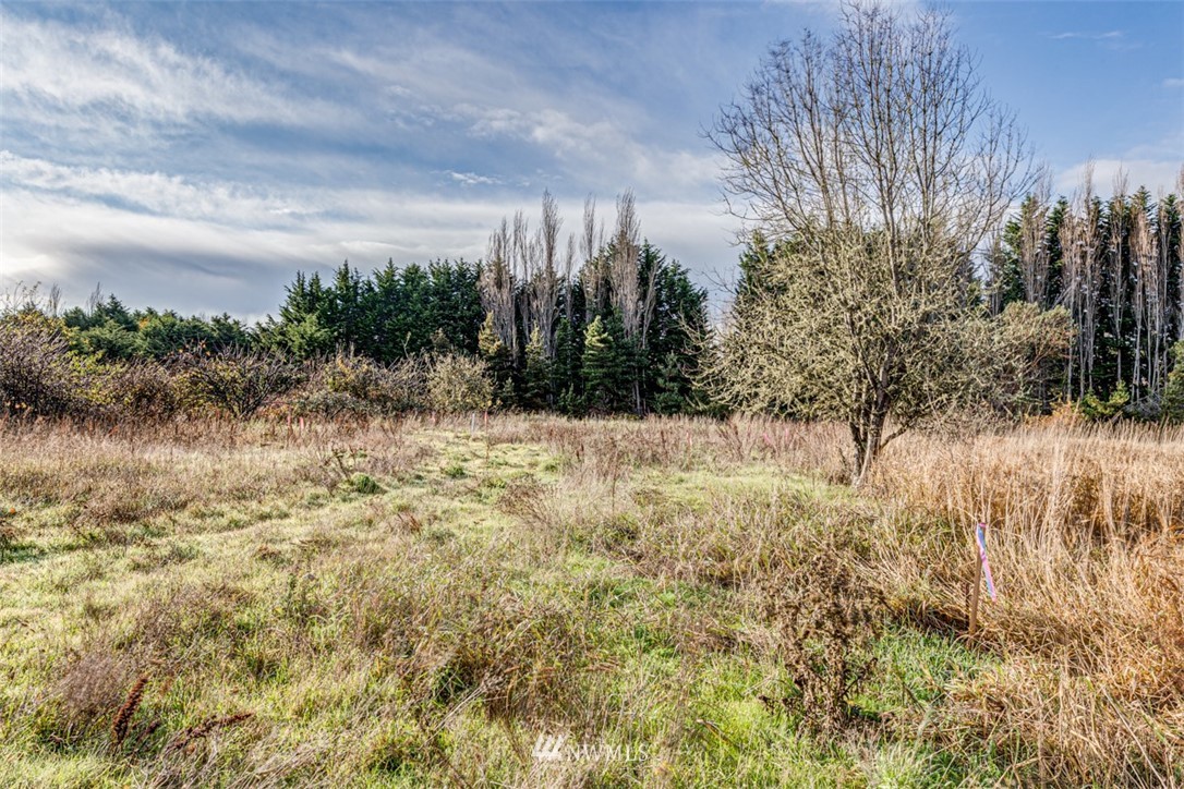 9999 Three Crabs Road Sequim, WA 98382 - Photo 18 of 40 Gallery Image 18