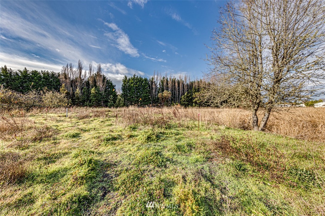 9999 Three Crabs Road Sequim, WA 98382 - Photo 20 of 40 Gallery Image 20
