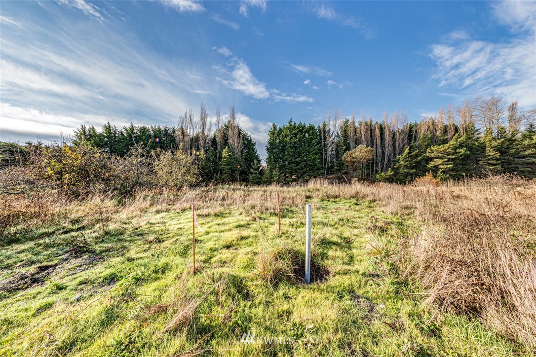 9999 Three Crabs Road Sequim, WA 98382 - Photo 21 of 40 Gallery Image 21