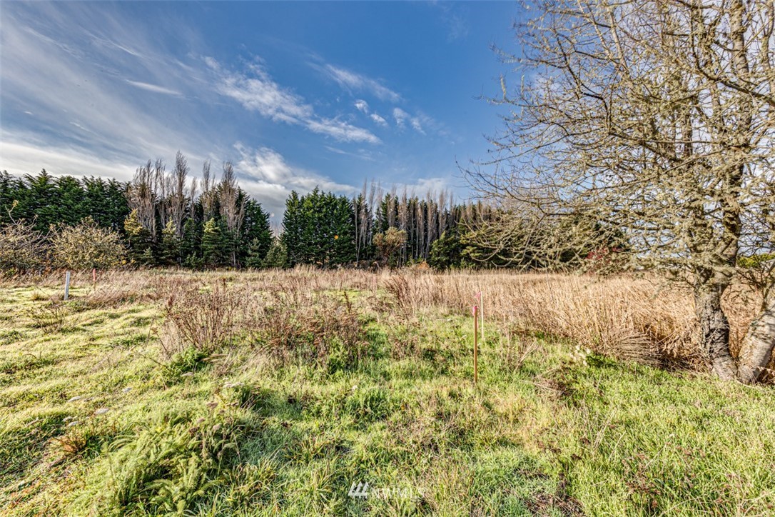 9999 Three Crabs Road Sequim, WA 98382 - Photo 23 of 40 Gallery Image 23
