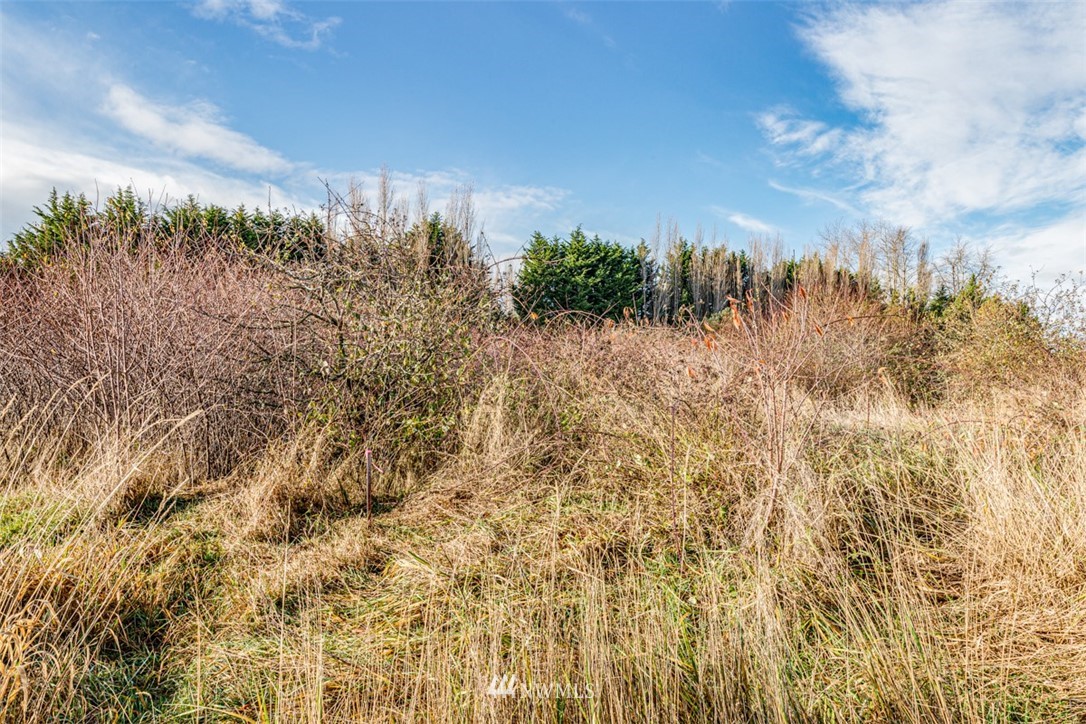 9999 Three Crabs Road Sequim, WA 98382 - Photo 7 of 40 Gallery Image 7