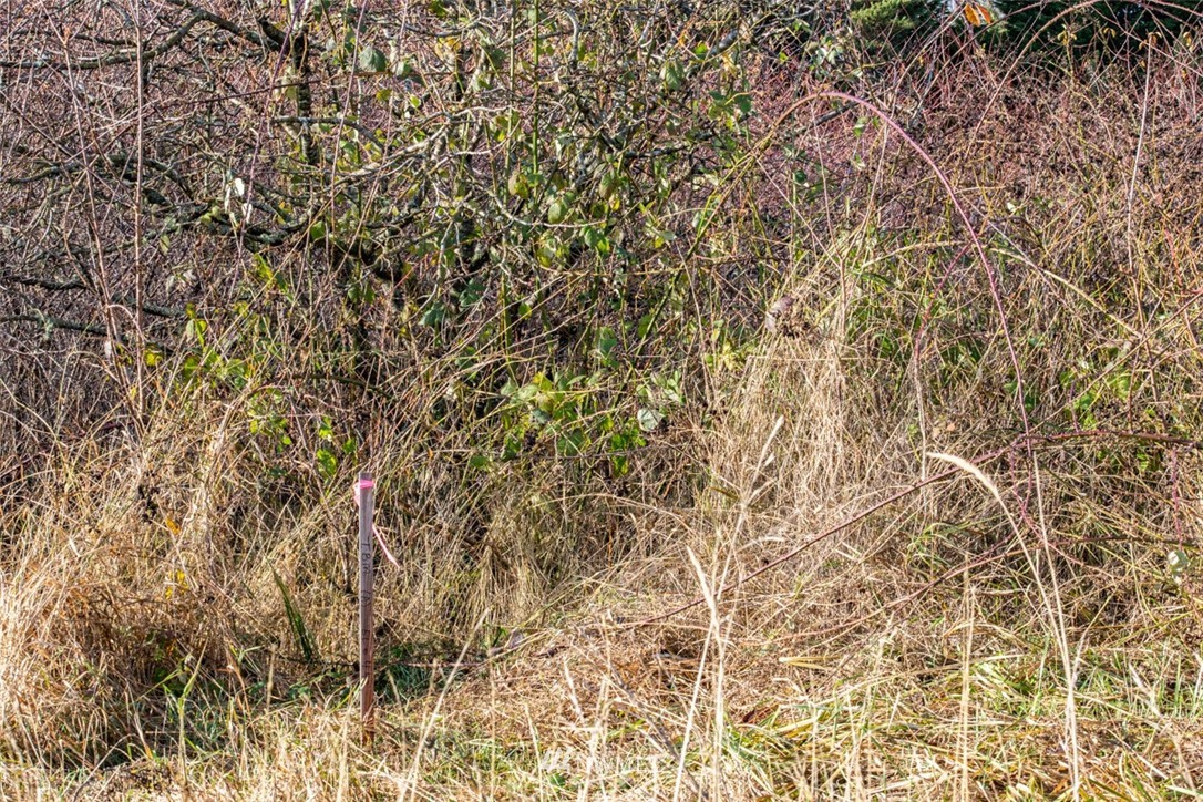 9999 Three Crabs Road Sequim, WA 98382 - Photo 8 of 40 Gallery Image 8