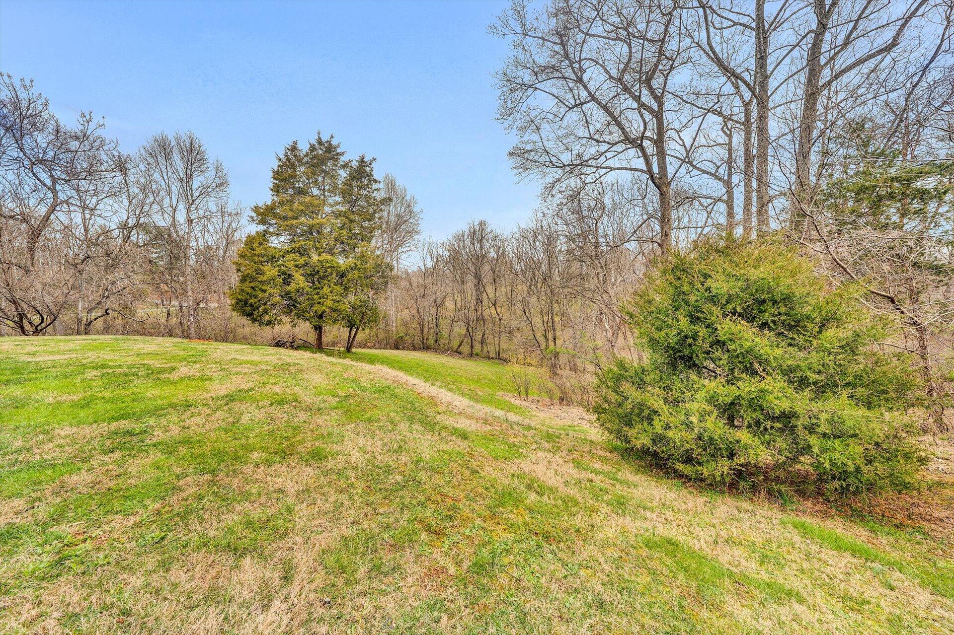 2921 Quarles Road Thaxton, VA 24174 - Photo 26 of 30 a view of backyard with tree