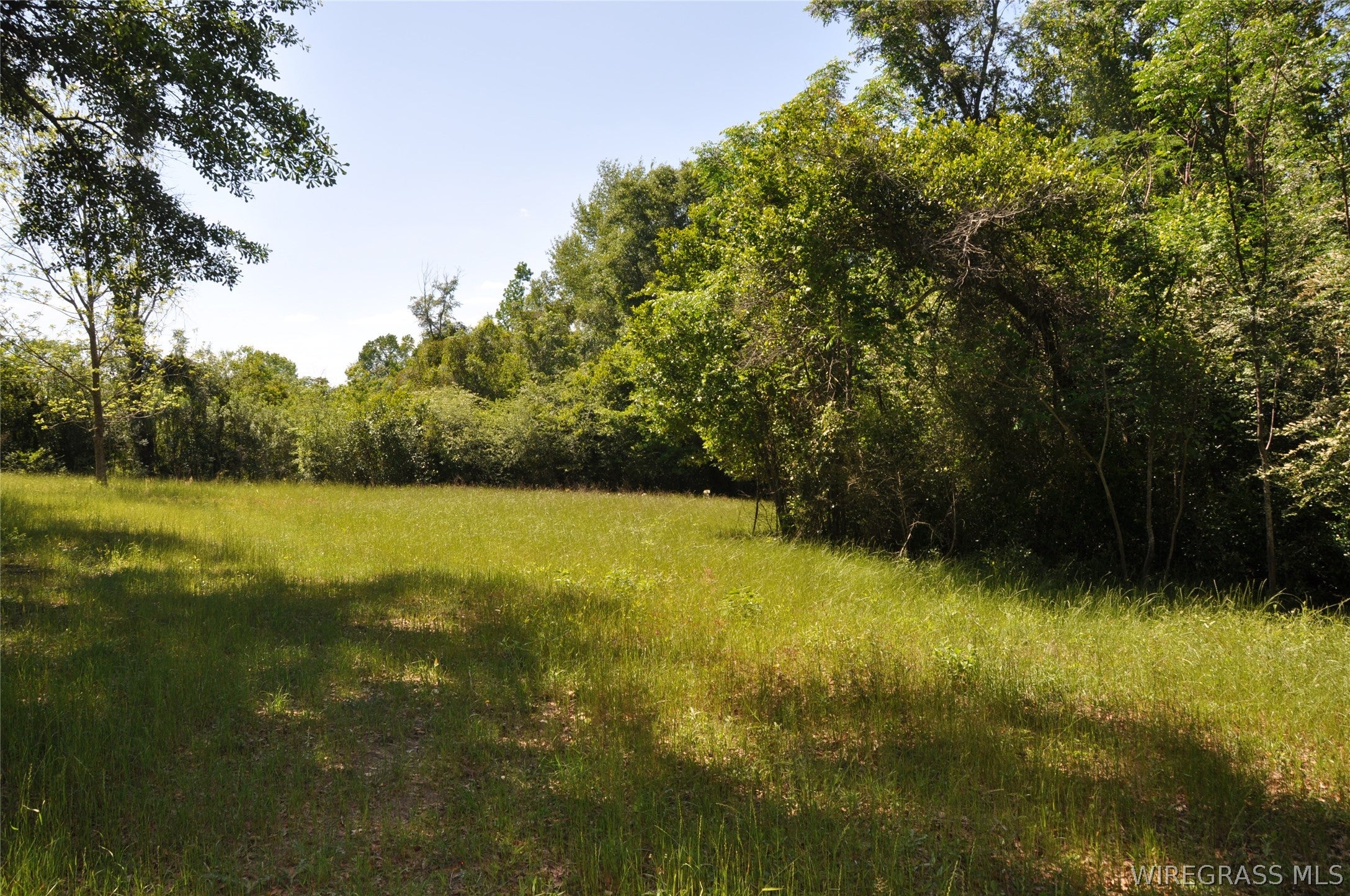 910 Holley Mill Road Samson, AL 36477 - Photo 36 of 61 Gallery Image 36