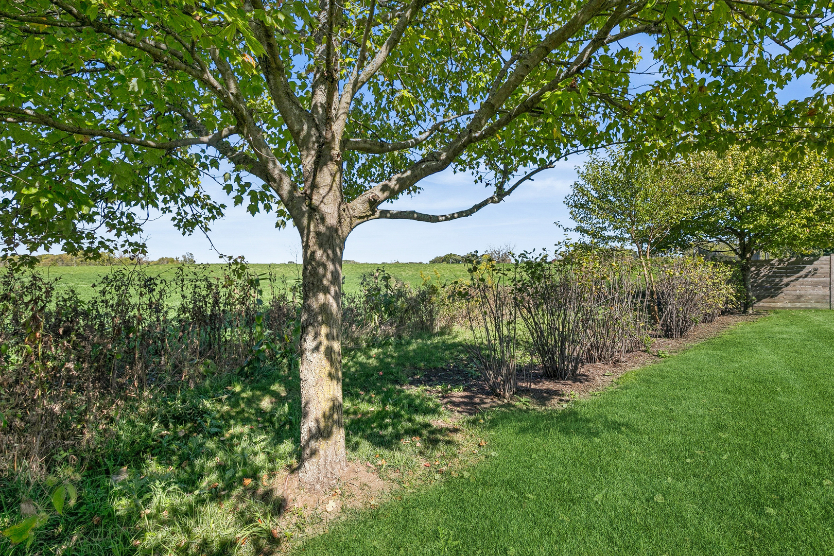811 Tiffany Farms Road Antioch, IL 60002 - Photo 5 of 21 Gallery Image 5
