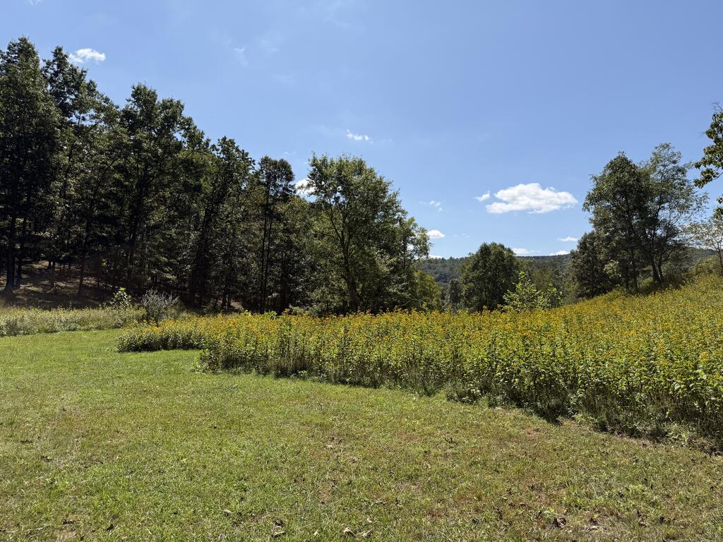 2443 Bruce Allen Road Hinton, WV 25951 - Photo 41 of 75 Gallery Image 41