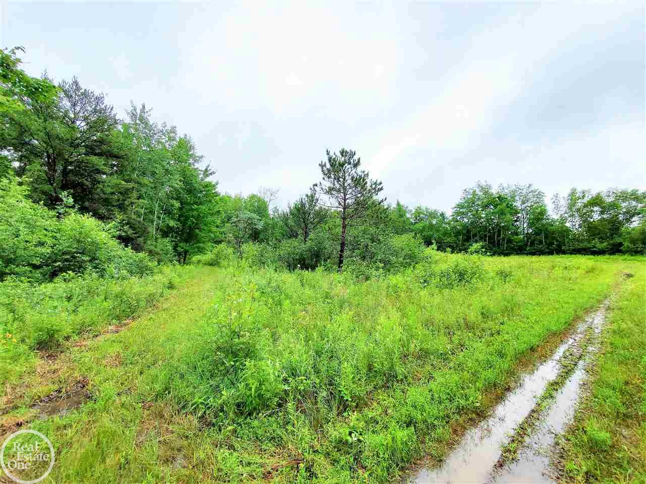 270 East Youngs Road Gladwin, MI 48624 - Photo 64 of 71
