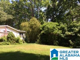 962 Pine Mountain Road Remlap, AL 35133 - Photo 2 of 7